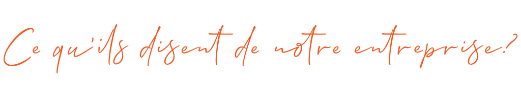 Testmonial tingisweb