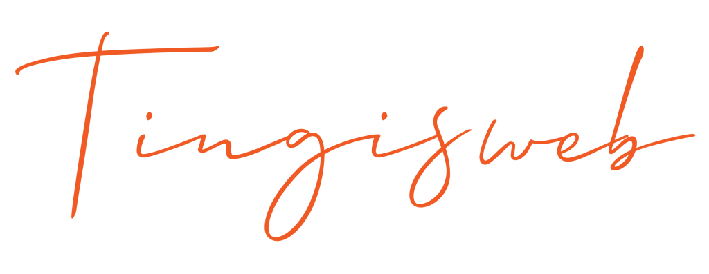 tingisweb agence digitale